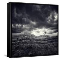 So Lonely-Luis Beltran-Framed Stretched Canvas