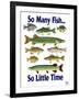 So Many Fish So Little Time-Mark Frost-Framed Giclee Print