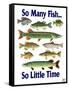 So Many Fish So Little Time-Mark Frost-Framed Stretched Canvas