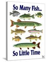 So Many Fish So Little Time-Mark Frost-Stretched Canvas