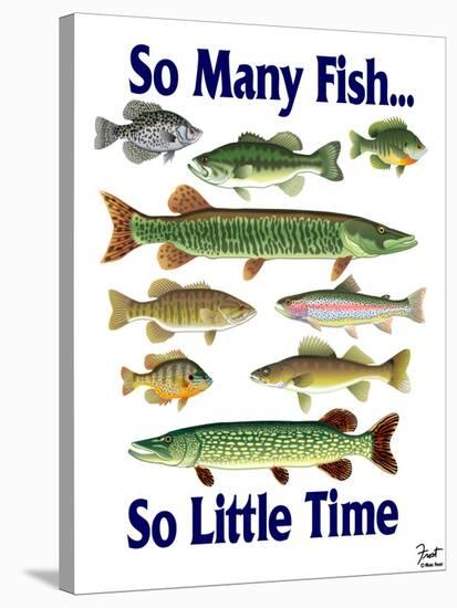 So Many Fish So Little Time-Mark Frost-Stretched Canvas