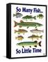 So Many Fish So Little Time-Mark Frost-Framed Stretched Canvas