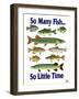 So Many Fish So Little Time-Mark Frost-Framed Giclee Print