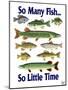 So Many Fish So Little Time-Mark Frost-Mounted Giclee Print