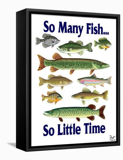 So Many Fish So Little Time-Mark Frost-Framed Stretched Canvas