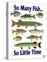 So Many Fish So Little Time-Mark Frost-Stretched Canvas