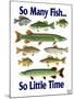 So Many Fish So Little Time-Mark Frost-Mounted Giclee Print