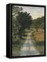 So Many Roads II-Michael Willett-Framed Stretched Canvas