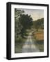 So Many Roads II-Michael Willett-Framed Art Print