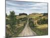 So Many Roads VI-Michael Willett-Mounted Art Print