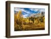 So Much Gold!-Ursula Abresch-Framed Photographic Print