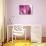 So Pure Collection - Beautiful Pink Agate-Philippe Hugonnard-Photographic Print displayed on a wall