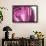 So Pure Collection - Beautiful Pink Agate-Philippe Hugonnard-Framed Photographic Print displayed on a wall