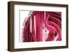 So Pure Collection - Beautiful Red Agate-Philippe Hugonnard-Framed Photographic Print