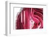 So Pure Collection - Beautiful Red Agate-Philippe Hugonnard-Framed Photographic Print