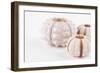 So Pure Collection - Beautiful White Sea Urchin shells II-Philippe Hugonnard-Framed Photographic Print