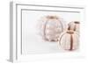 So Pure Collection - Beautiful White Sea Urchin shells II-Philippe Hugonnard-Framed Photographic Print