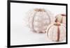 So Pure Collection - Beautiful White Sea Urchin shells II-Philippe Hugonnard-Framed Photographic Print