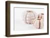 So Pure Collection - Beautiful White Sea Urchin shells II-Philippe Hugonnard-Framed Photographic Print