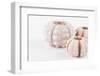 So Pure Collection - Beautiful White Sea Urchin shells II-Philippe Hugonnard-Framed Photographic Print