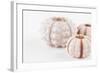 So Pure Collection - Beautiful White Sea Urchin shells II-Philippe Hugonnard-Framed Photographic Print