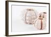 So Pure Collection - Beautiful White Sea Urchin shells II-Philippe Hugonnard-Framed Photographic Print