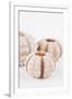 So Pure Collection - Beautiful White Sea Urchin shells III-Philippe Hugonnard-Framed Premium Photographic Print