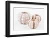 So Pure Collection - Beautiful White Sea Urchin shells-Philippe Hugonnard-Framed Photographic Print