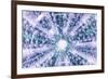 So Pure Collection - Blue Sea Urchin Shell Close-up-Philippe Hugonnard-Framed Photographic Print