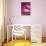 So Pure Collection - Close-up of Pink Agate-Philippe Hugonnard-Stretched Canvas displayed on a wall