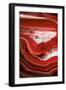 So Pure Collection - Close-up of Red Agate-Philippe Hugonnard-Framed Photographic Print