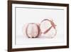 So Pure Collection - Double Seashells II-Philippe Hugonnard-Framed Photographic Print