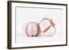 So Pure Collection - Double Seashells II-Philippe Hugonnard-Framed Photographic Print