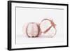 So Pure Collection - Double Seashells II-Philippe Hugonnard-Framed Photographic Print