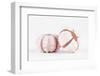 So Pure Collection - Double Seashells II-Philippe Hugonnard-Framed Photographic Print