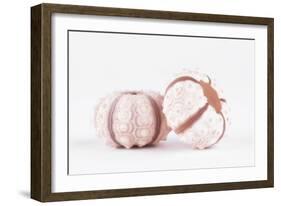 So Pure Collection - Double Seashells II-Philippe Hugonnard-Framed Photographic Print