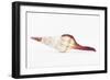 So Pure Collection - Fusinus Colus Seashell II-Philippe Hugonnard-Framed Photographic Print