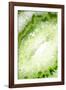 So Pure Collection - Green Agate Heart-Philippe Hugonnard-Framed Photographic Print