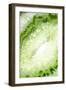 So Pure Collection - Green Agate Heart-Philippe Hugonnard-Framed Premium Photographic Print