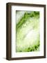 So Pure Collection - Green Agate Heart-Philippe Hugonnard-Framed Photographic Print