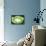 So Pure Collection - Green Agate Look-Philippe Hugonnard-Framed Stretched Canvas displayed on a wall