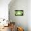 So Pure Collection - Green Agate Look-Philippe Hugonnard-Framed Stretched Canvas displayed on a wall
