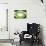 So Pure Collection - Green Agate Look-Philippe Hugonnard-Photographic Print displayed on a wall