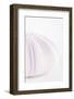 So Pure Collection - Natural Mauve Sea Urchin Shell II-Philippe Hugonnard-Framed Photographic Print