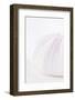 So Pure Collection - Natural Mauve Sea Urchin Shell III-Philippe Hugonnard-Framed Photographic Print