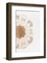 So Pure Collection - Natural Sea Urchin Shell III-Philippe Hugonnard-Framed Photographic Print