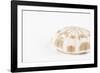 So Pure Collection - Natural Sea Urchin Shell-Philippe Hugonnard-Framed Photographic Print