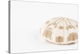 So Pure Collection - Natural Sea Urchin Shell-Philippe Hugonnard-Stretched Canvas