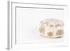 So Pure Collection - Natural Sea Urchin Shell-Philippe Hugonnard-Framed Photographic Print