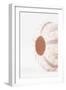 So Pure Collection - Natural Seashell-Philippe Hugonnard-Framed Photographic Print